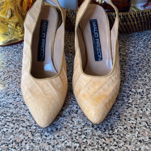 AUTHENTIC CROCODILE IN CREME! - Picture 2 of 5